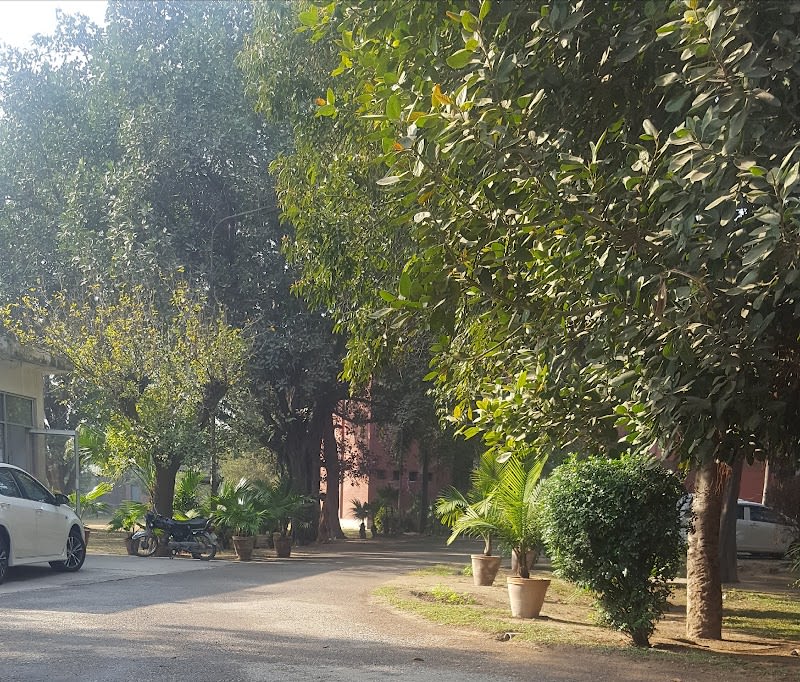AIMC Hostel 5 — hostel in Jinnah Hospital Area, Lahore