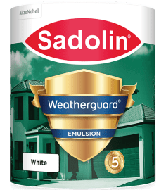 Sadolin Sadolin Fungicidal Exterior Wash container packaging
