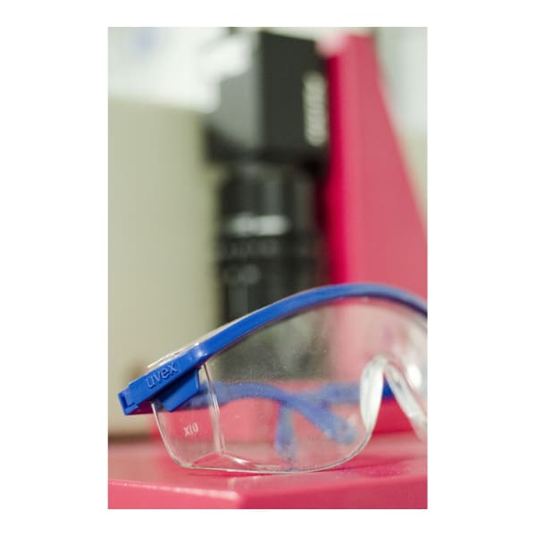 Clear Anti-Fog Safety Glasses trade painting tool supplied in Kenya by Paints Kenya