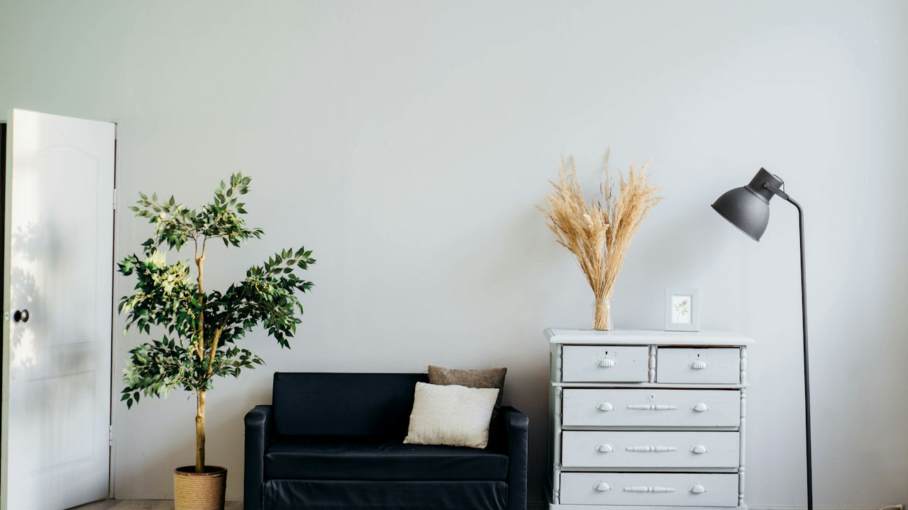 Olive Green paint on outdoor patio feature wall in a suburban residence in Karen