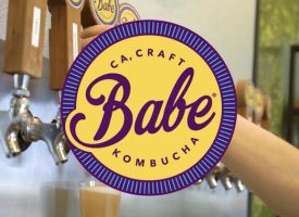 BABE KOMBUCHA offering thumbnail image}}