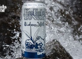 Kombucha Town offering thumbnail image}}