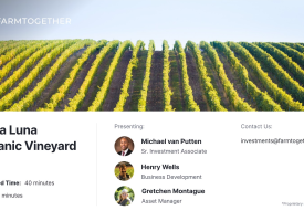 Vista Luna Organic Vineyard Stage 2 offering thumbnail image}}