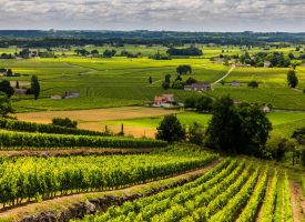 Bordeaux Collection offering thumbnail image}}