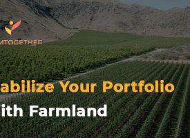 Quartz Road Pecan Orchard offering thumbnail image}}