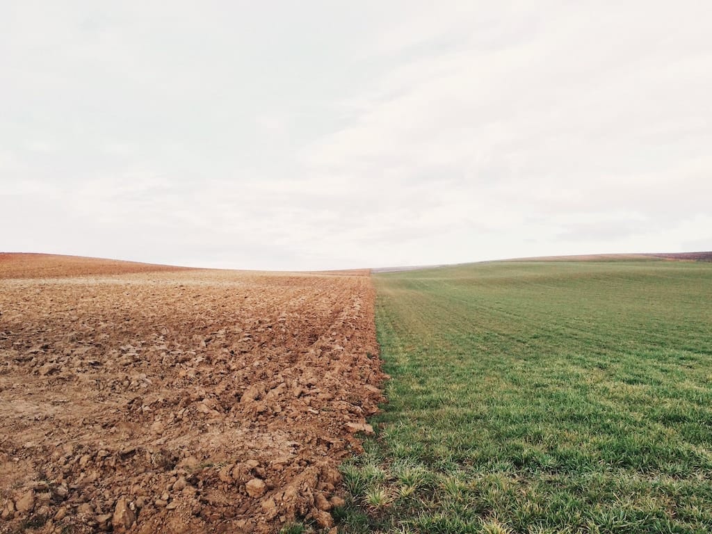 field with stark dividing line between half dirt and half healthy grass