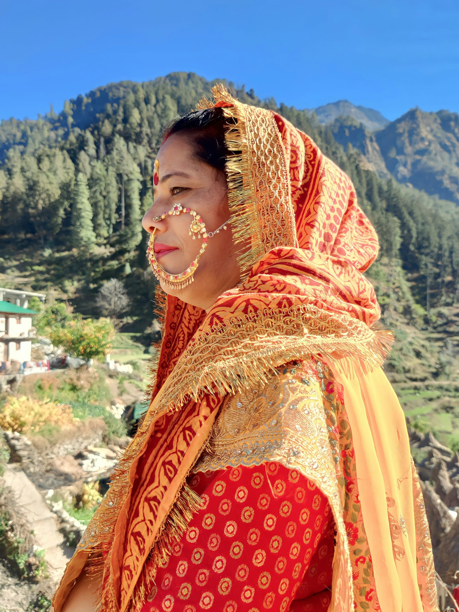 Sarees