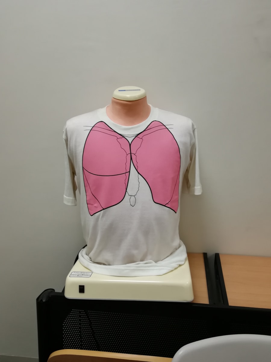 Surface anatomy of the lungs helps you understand where to inspect, percuss and auscultate — Ashashyou, CC BY-SA 3.0