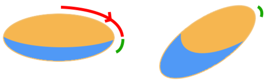 Shifting dullness test: percuss for flank dullness, turn the patient, then repeat — Wolfmankurd, GFDL