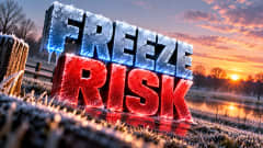 Northern Minnesota Freeze Warning Runs Until 9 AM