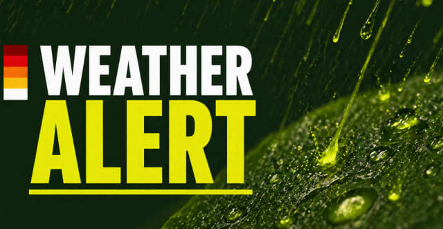 Illinois Weather: Quad Cities Sees Light Rain and Mist Tonight Before Warming to 70 Degrees Wednesday