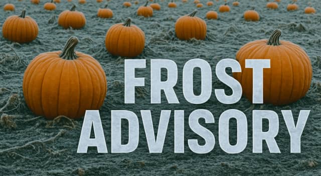 Marquette Frost Ends as Upper Michigan Warms Up