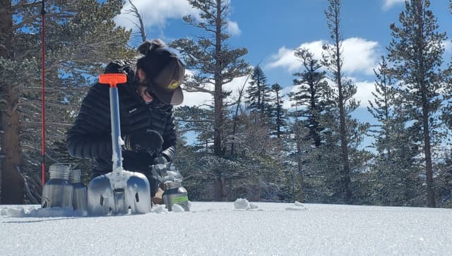 California Snowfall Study Finds Thousands of Plastic Particles in Remote Mountains