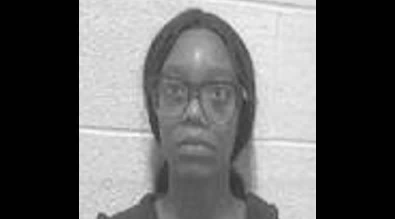 Lake Zurich, IL Arrest: Woman Accused of Selling Gun to Felon