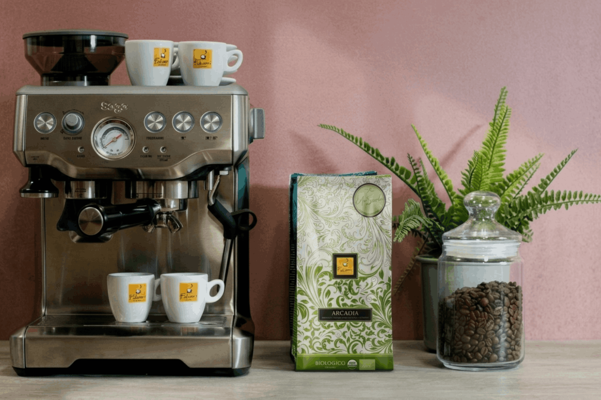 Kafa