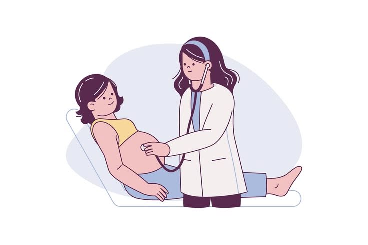 Pregnancy & Antenatal Care