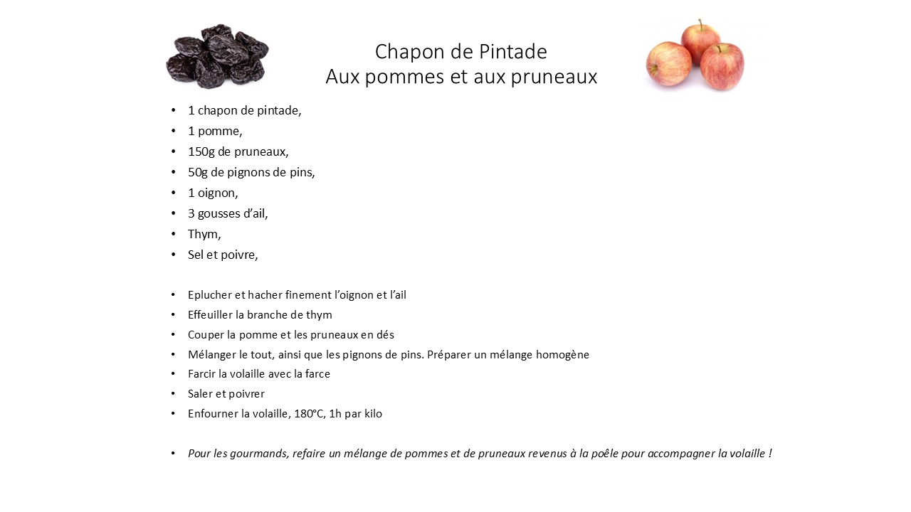 Photos 9 de l'élevage