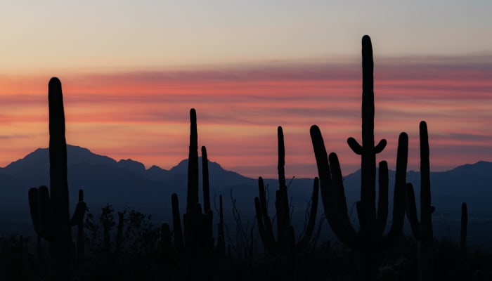 Arizona Motorhome Shows