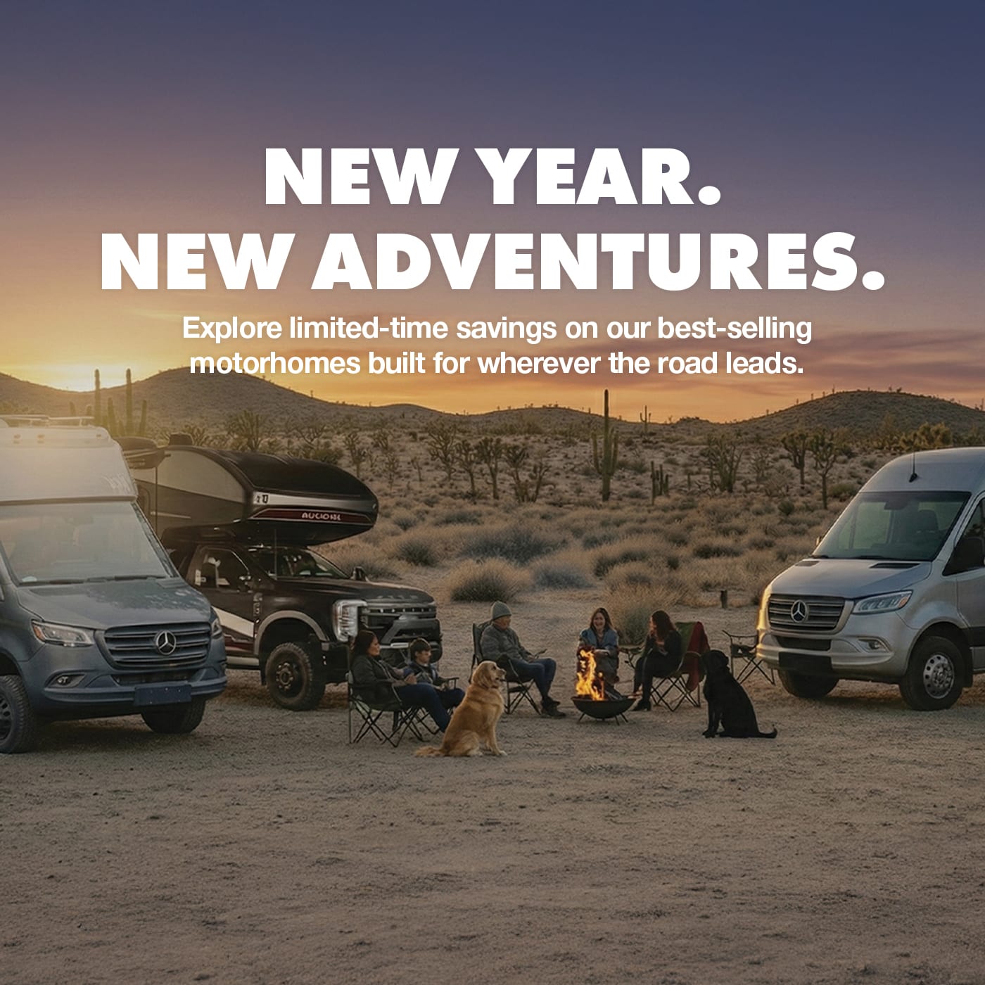 New Year, New Adventures Sale