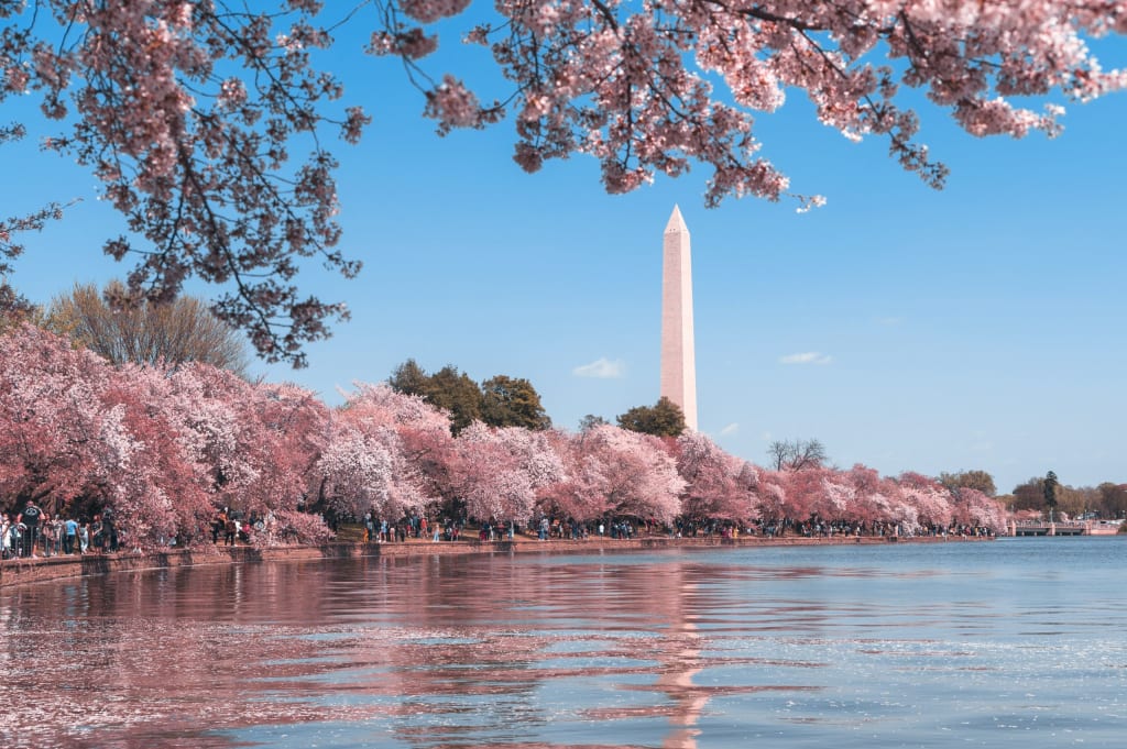 10 Amazing Destinations for RVers to Celebrate the Fourth of July from La Mesa Blog