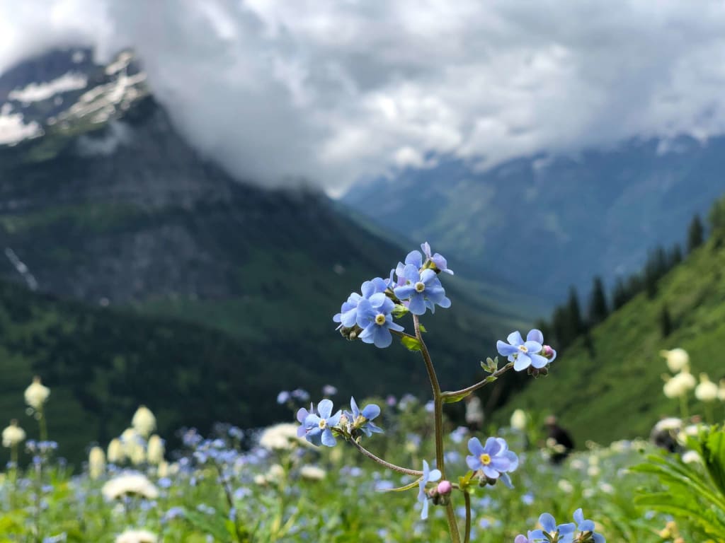 Glacier-National-Park-