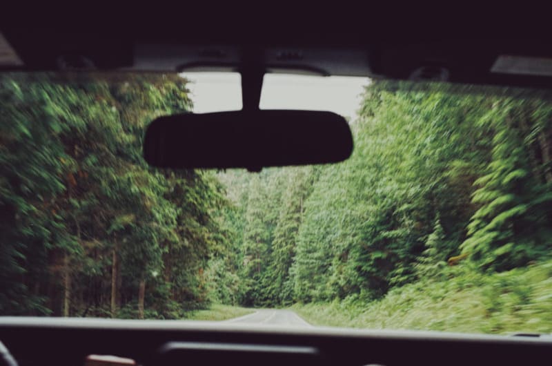 Seattle washington to olympic national park