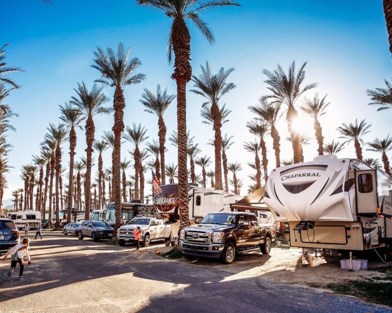 Summer Insects Keeping Summer Bugs Out Of Your RV