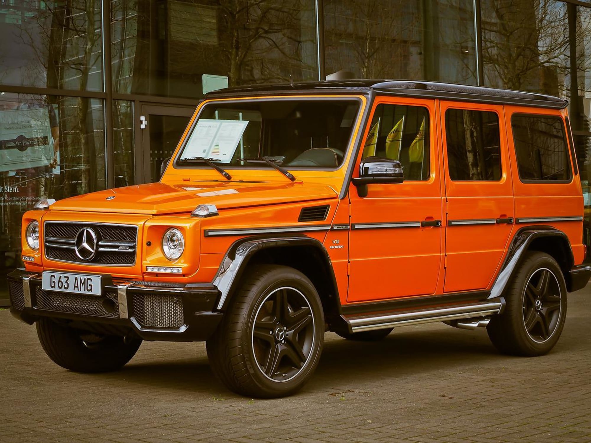 La Stalla Exotics Blog