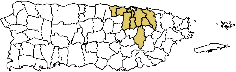 Mapa Área Metropolitana Puerto Rico