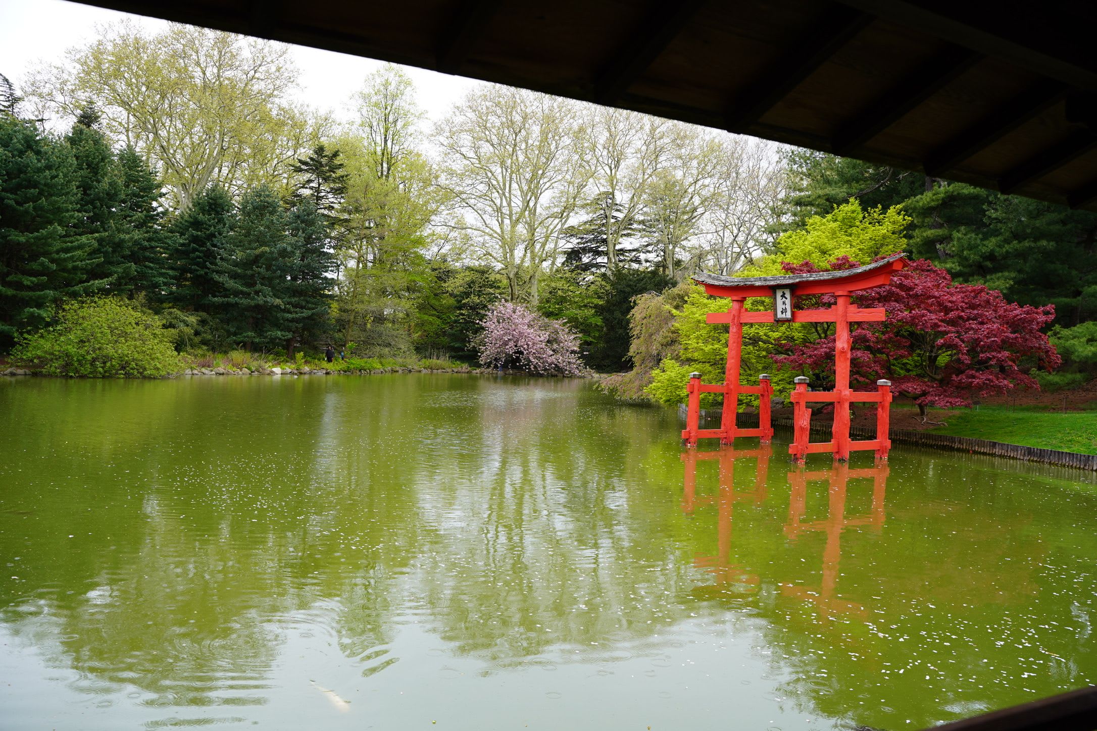 brooklyn botanic garden