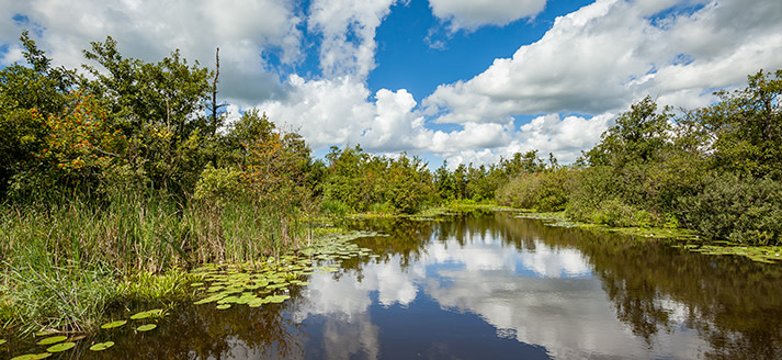 Nationaal Park De Alde Feanen