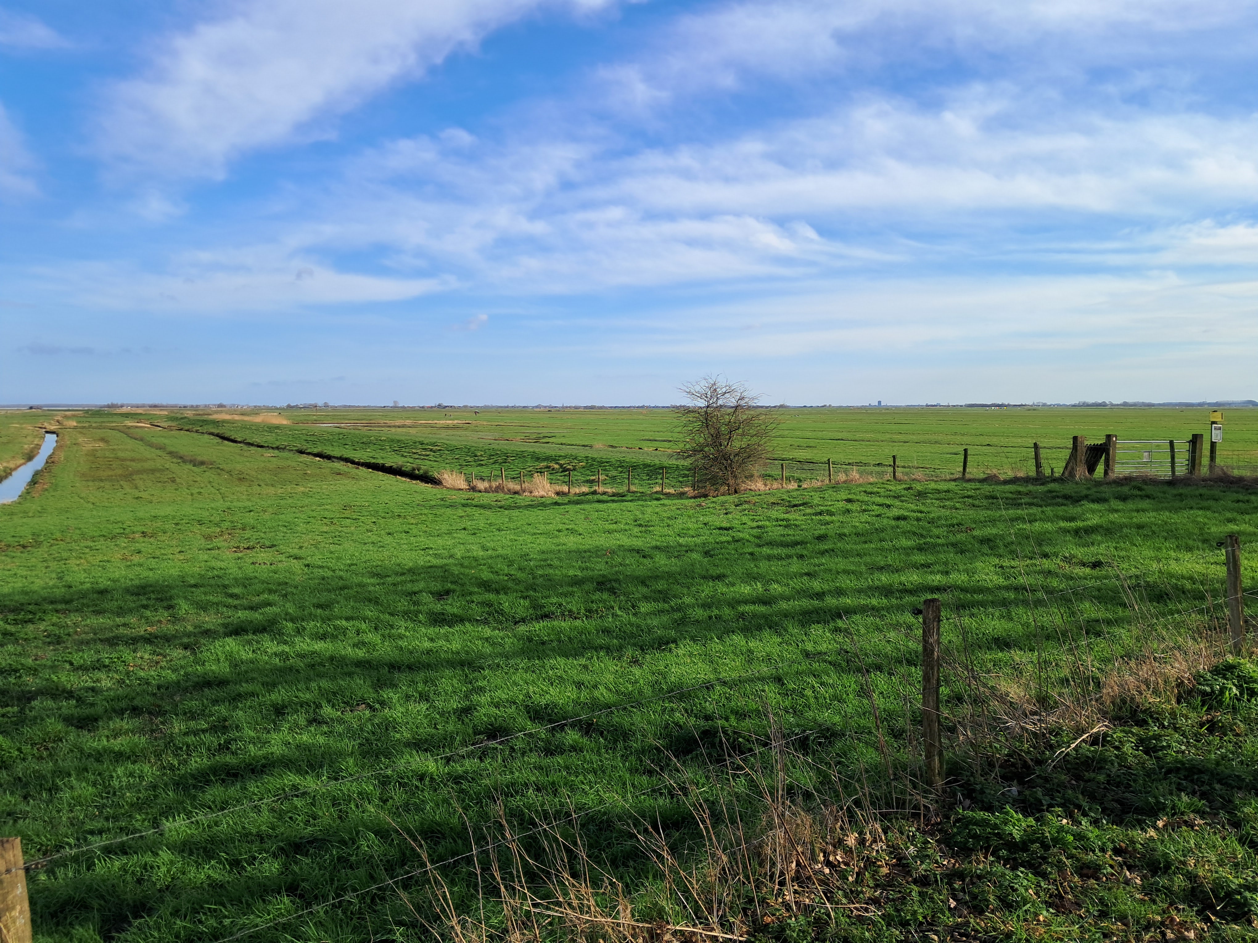 Eempolder | richting Eemdijk bij de horizon