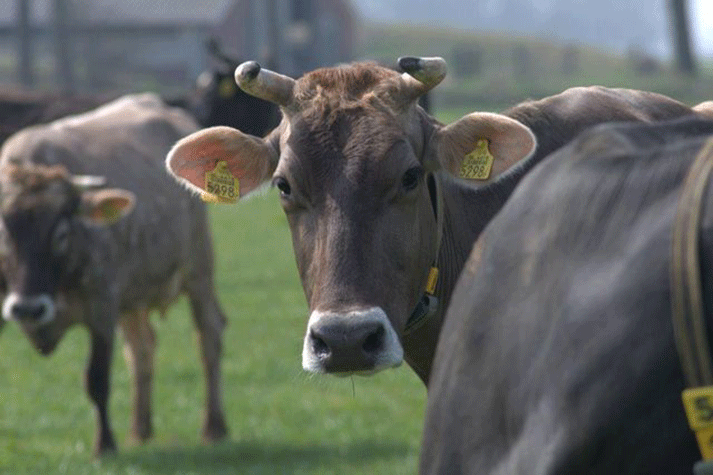 Landjuweel De Hoeven