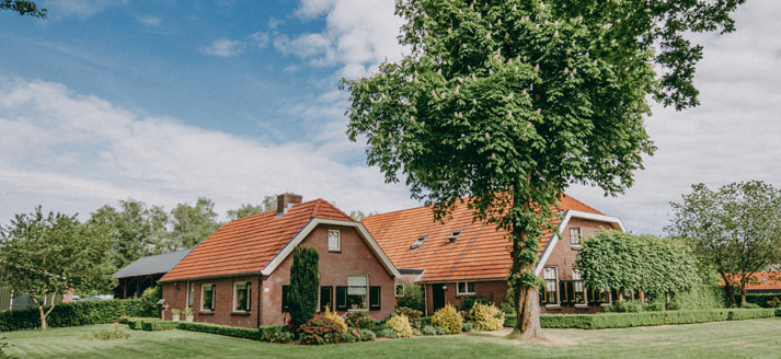 Biologisch melkveebedrijf