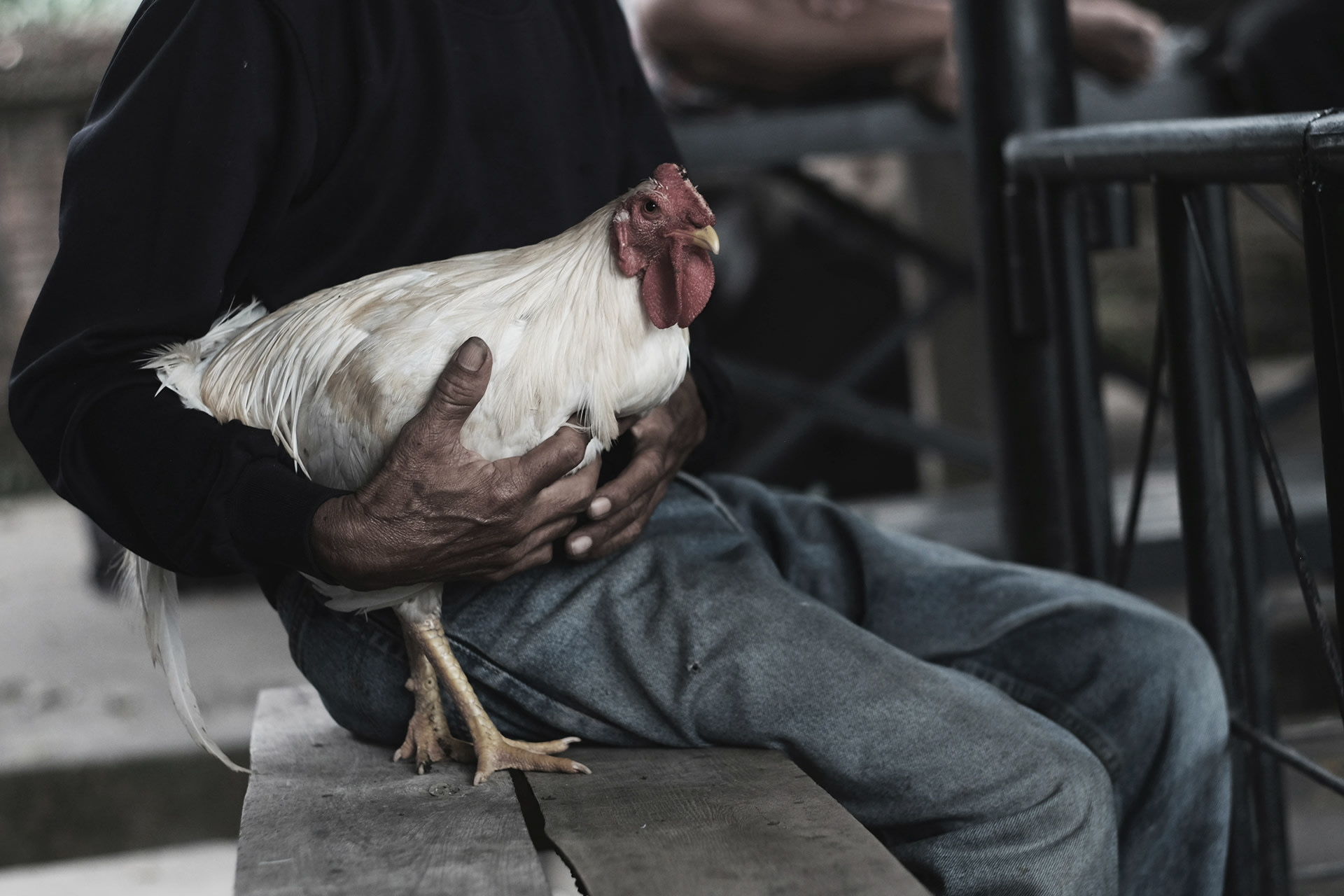 Beeld 'Smokkelaar met haan'