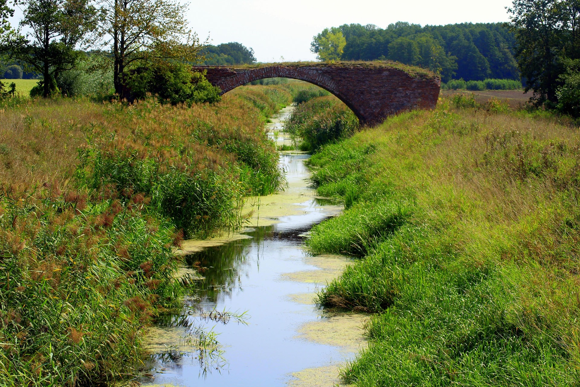Beekjes in de Groote Heide
