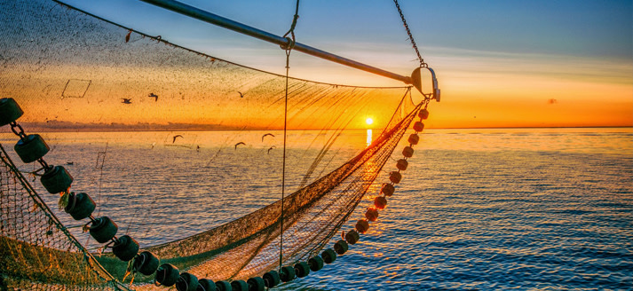 Visnet boven de zee