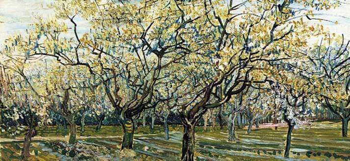 Vincent van Gogh, Orchard with blossoming plum trees. Arles, 1888