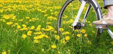 Vakantieboerderij 't Bullekroffie