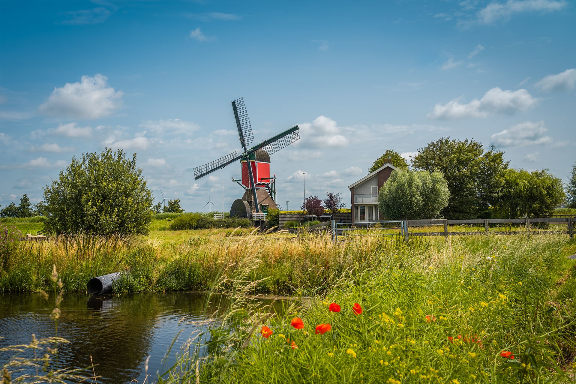 Rode Wipmolen