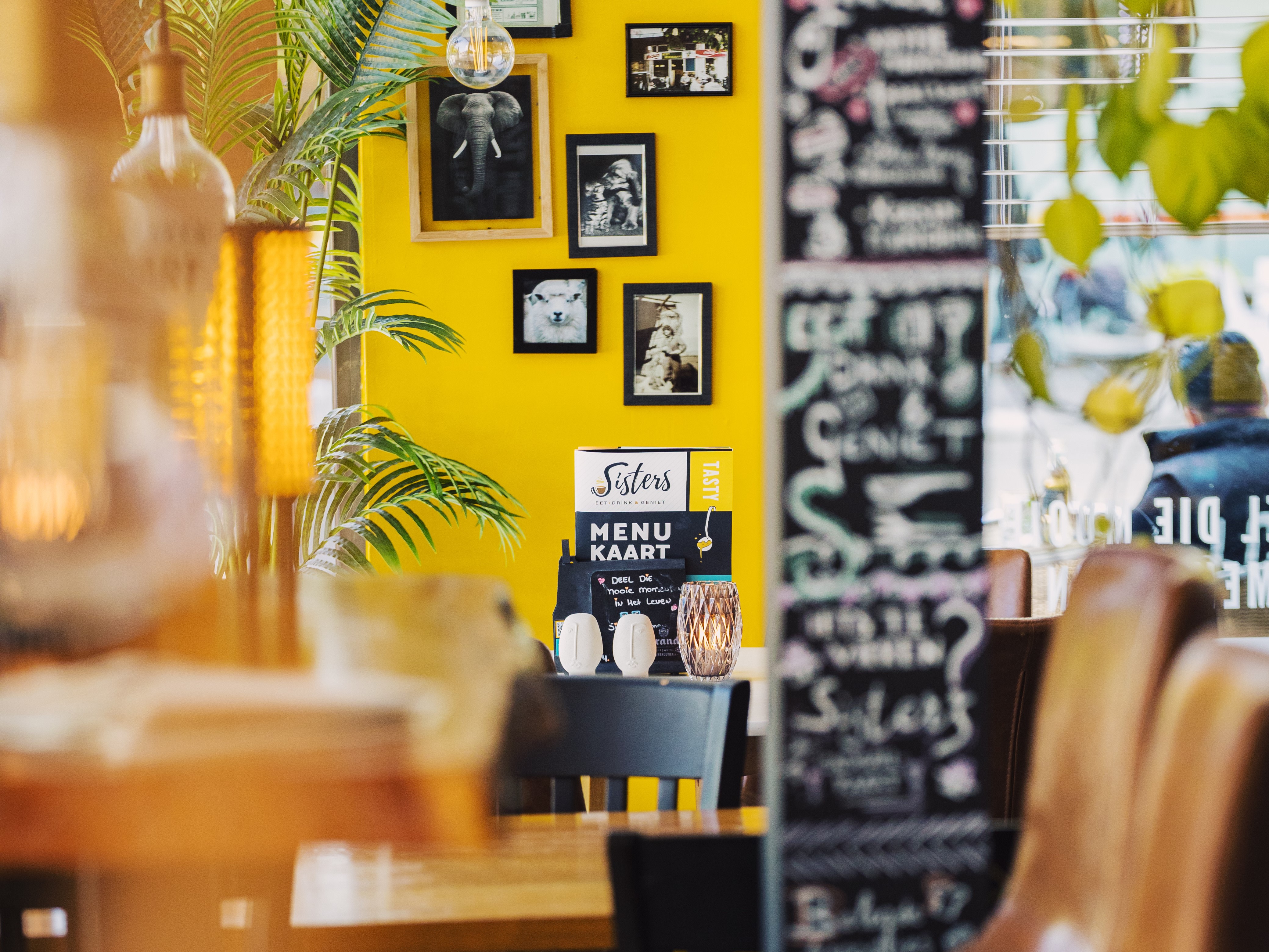 Gezellig bij Lunchcafé Sisters