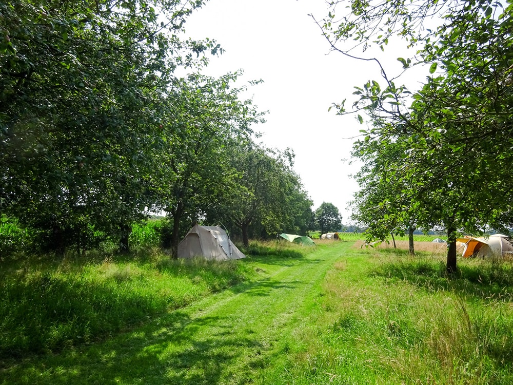 Natuurkampeerterrein de Buitenplaats