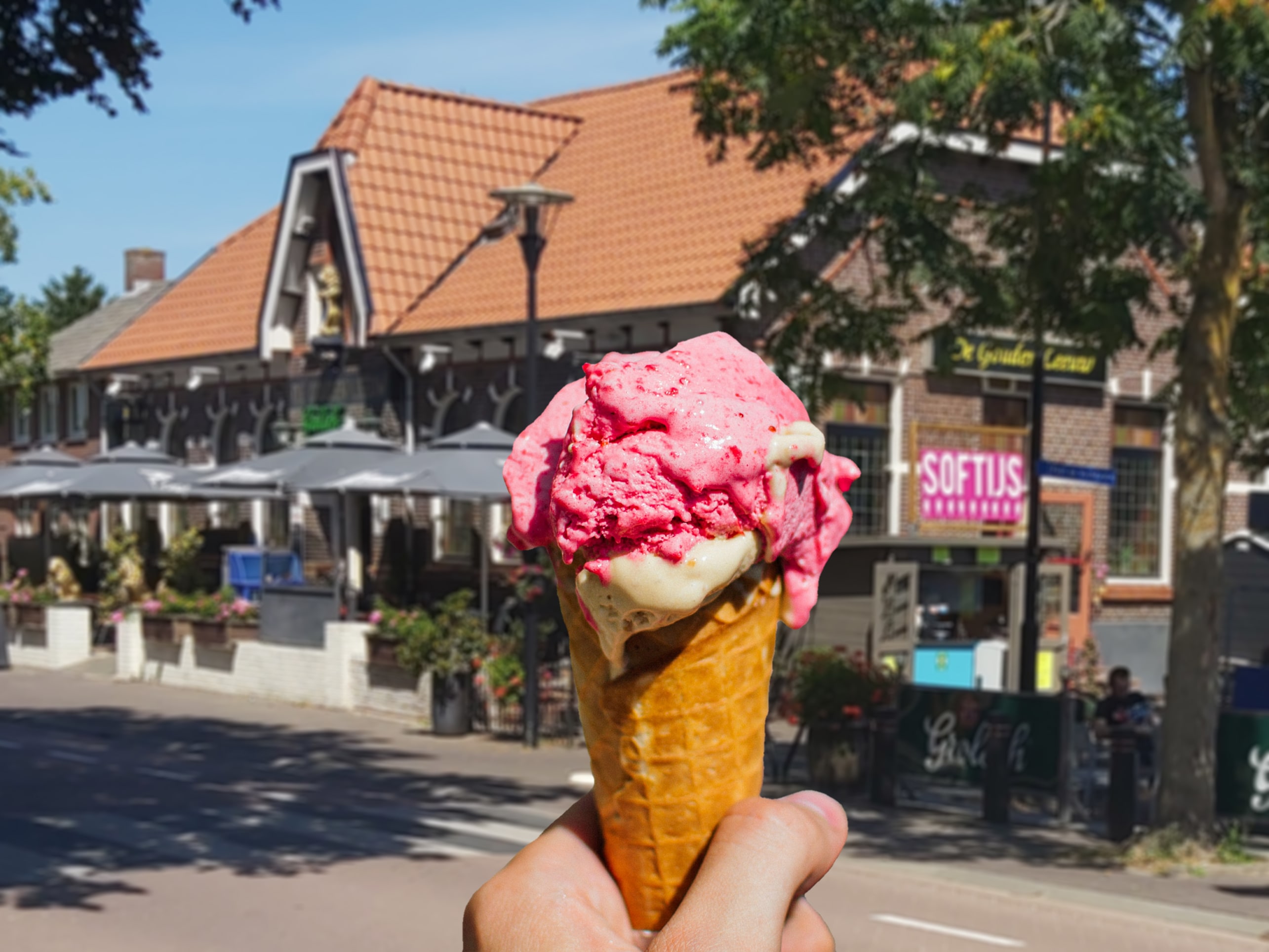 IJskotje De Gouden Leeuw