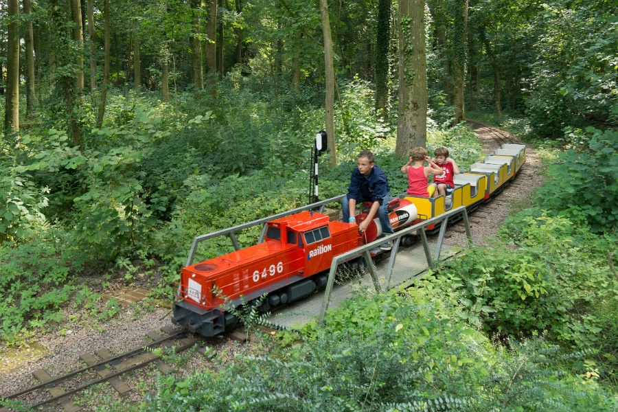Met de trein mee bij Landgoed Nienoord