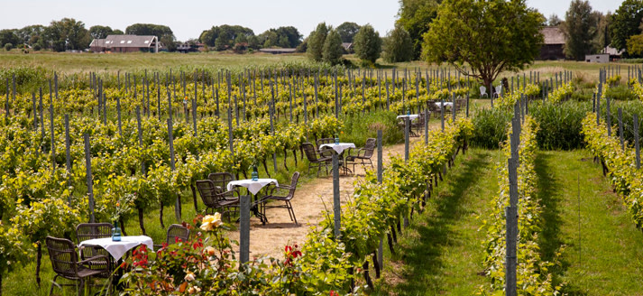 Wijngaard de Amsteltuin