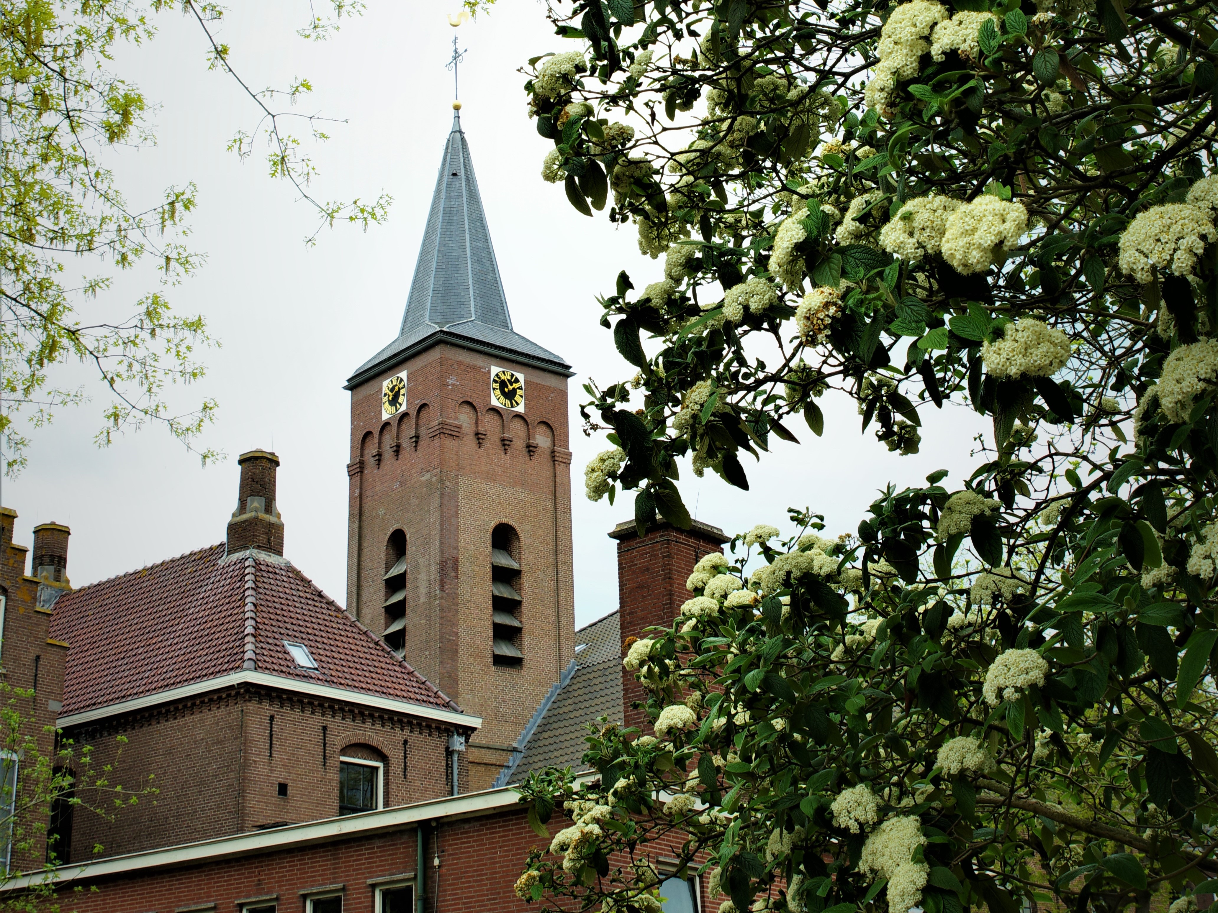 Sfeervol beeld van de Stephanuskerk