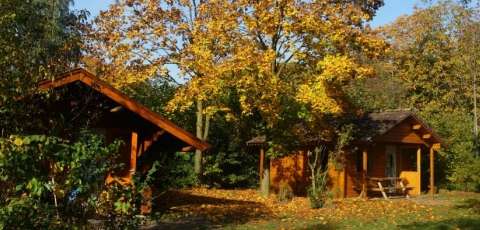 Natuurkampeerterrein 't Scharvelt