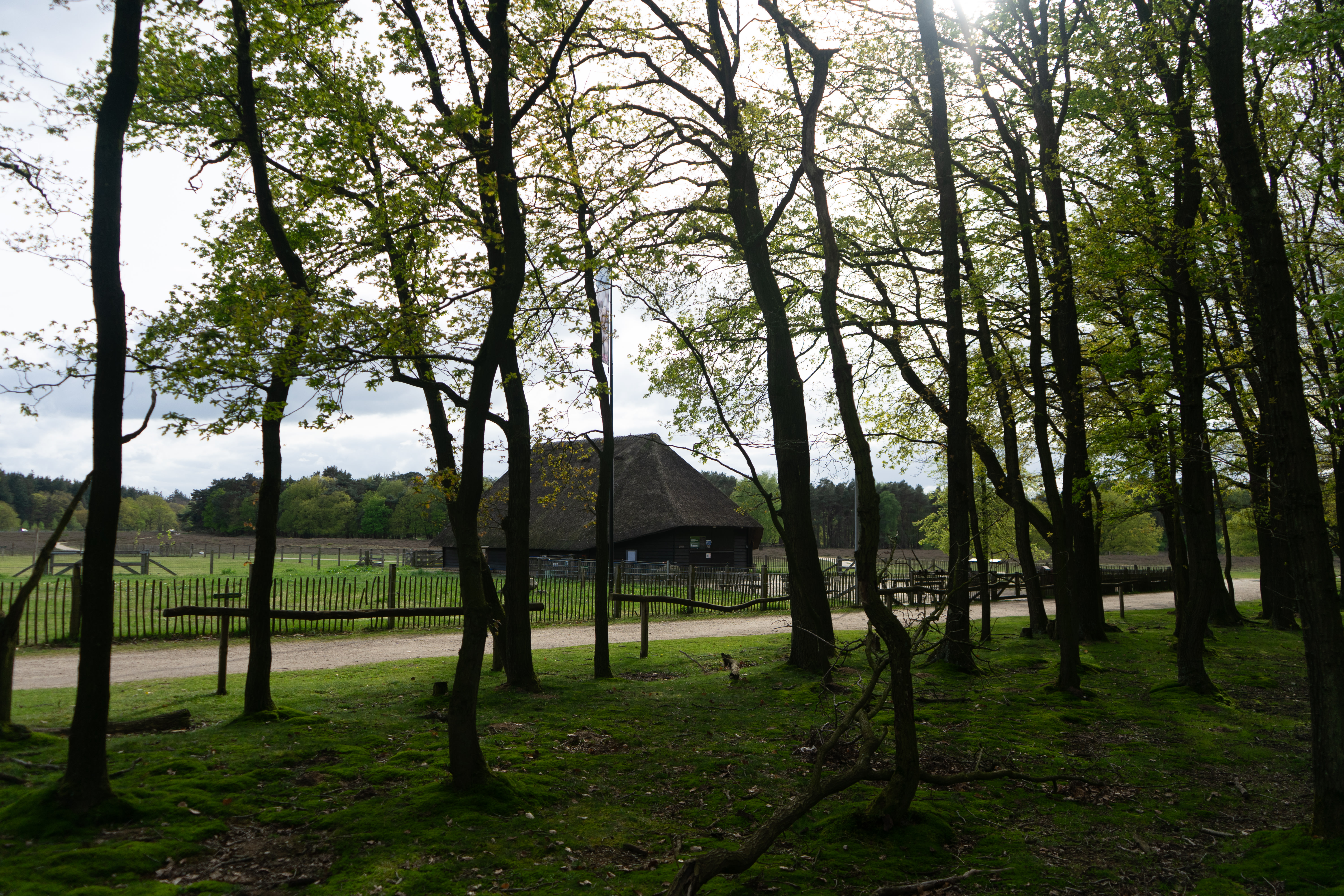 Schaapskooi in Blaricum