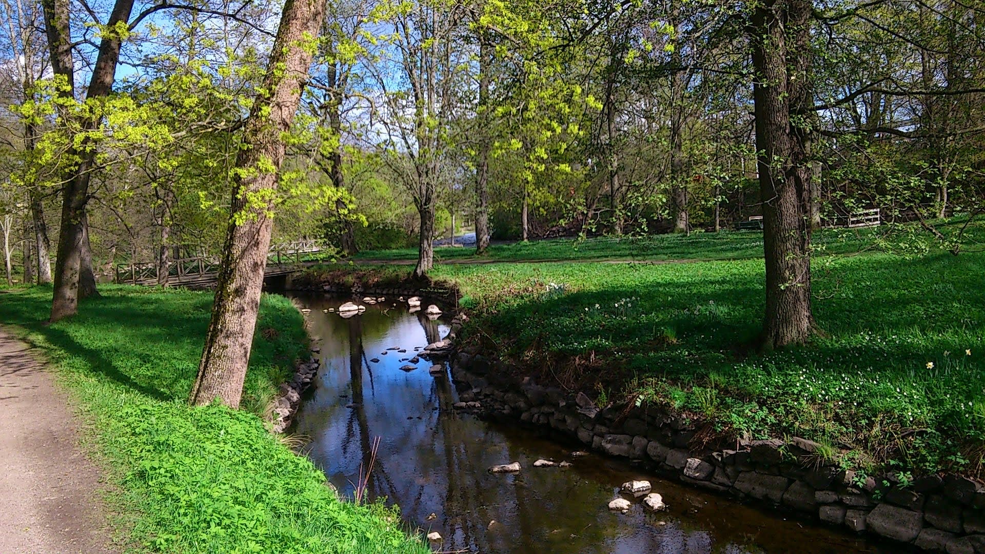 Stadspark Groningen