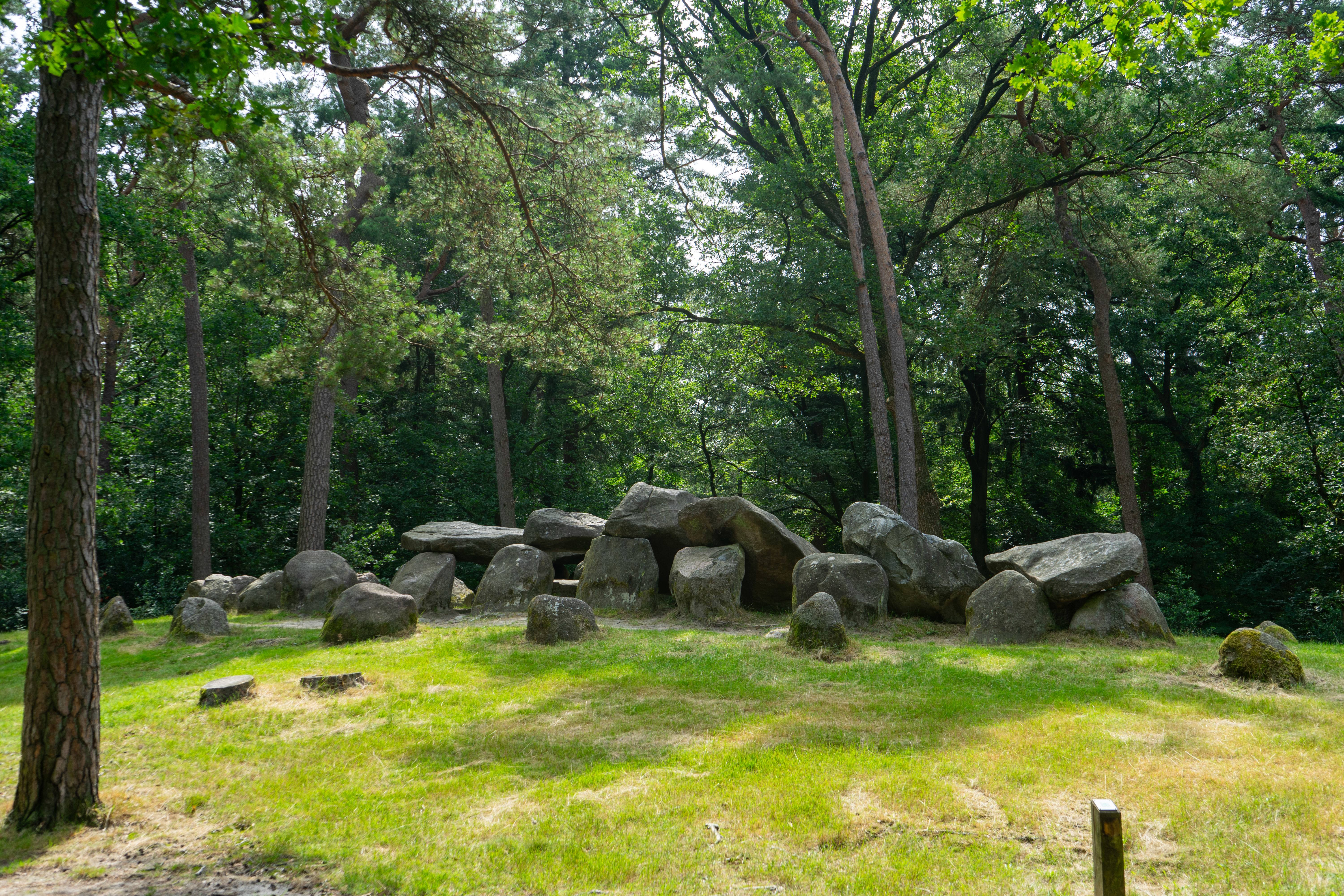 Hunebed D45 met kransstenen